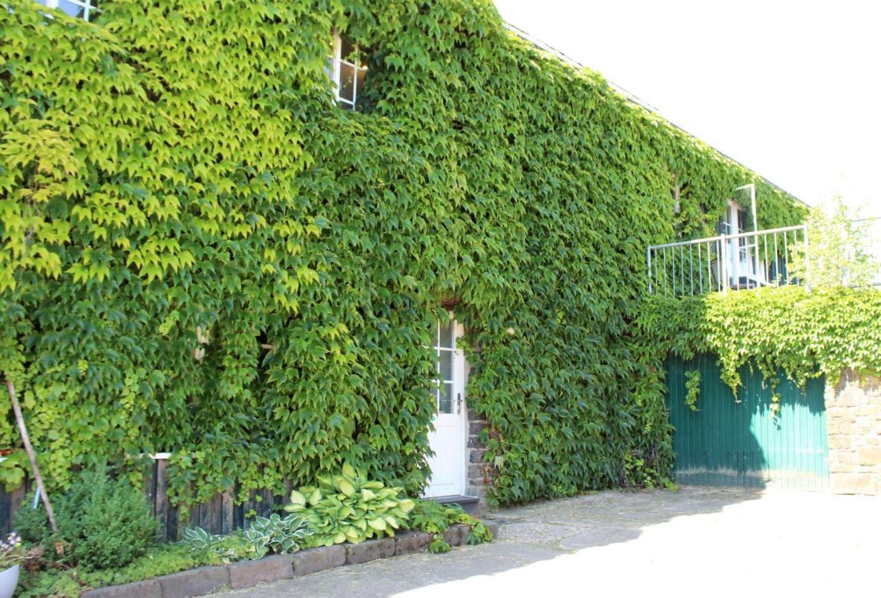 Victorhof Landurlaub Deine Auszeit Im Gruenen, Umgeben Von Wald & Wiesen مونشاو المظهر الخارجي الصورة