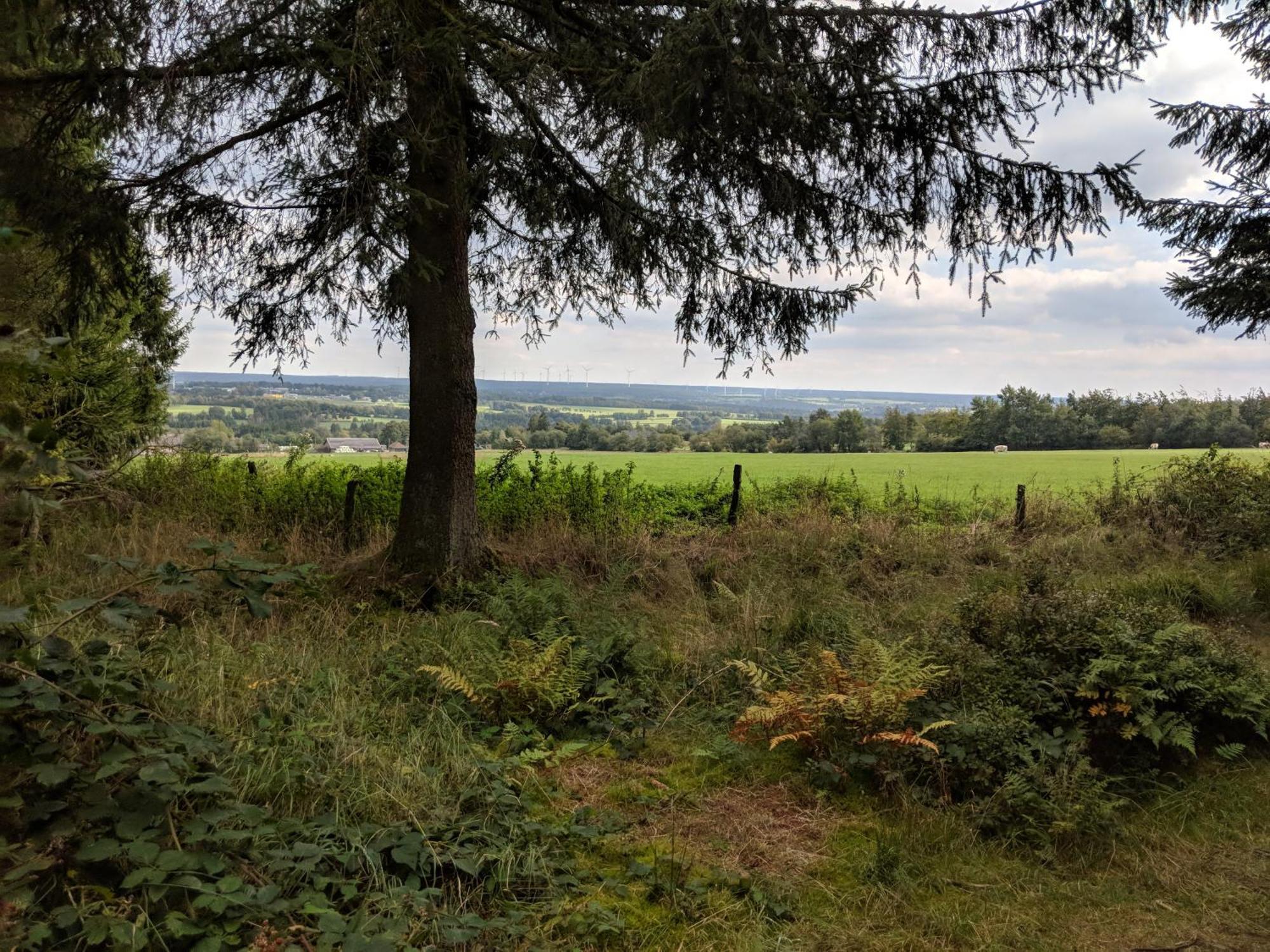 Victorhof Landurlaub Deine Auszeit Im Gruenen, Umgeben Von Wald & Wiesen مونشاو المظهر الخارجي الصورة